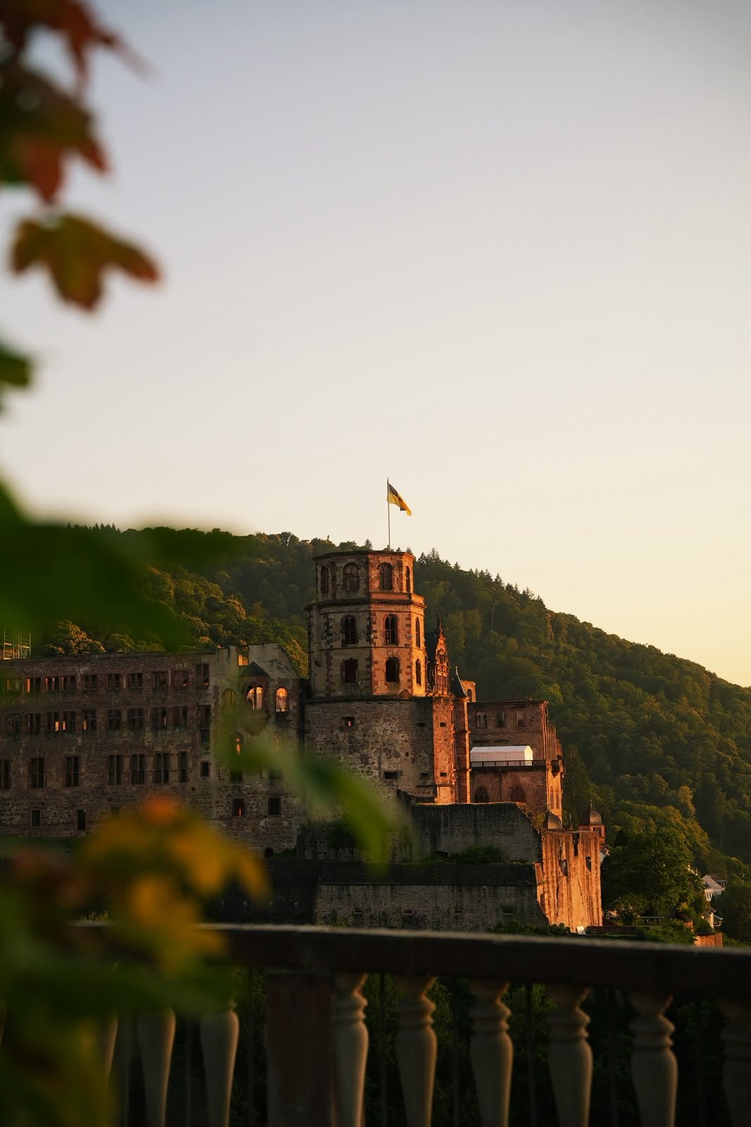 Heidelberger Schloss im Abendlicht – Metropolregion Rhein-Neckar